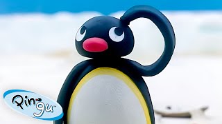 Pingu Learns His Lesson 🐧 | Pingu - Official Channel | Cartoons For Kids