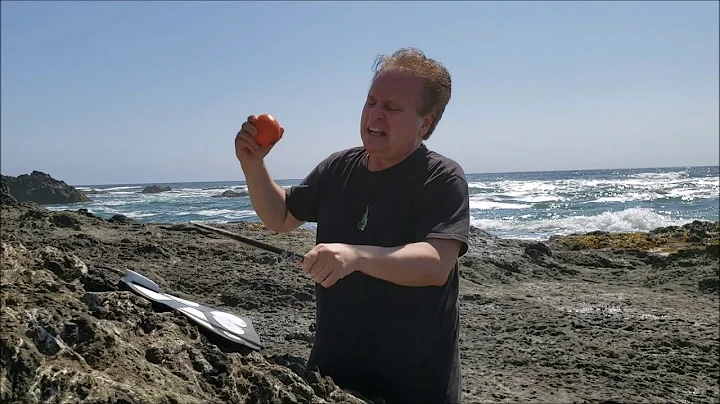Michael Bayard: Incredible Rhythm Jam by the Ocean