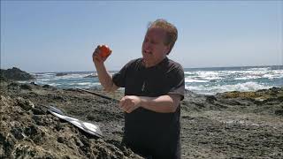 Michael Bayard Incredible Rhythm Jam By The Ocean
