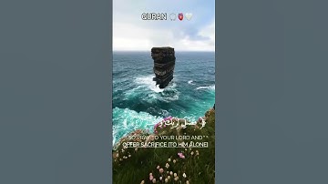 سورة الكوثر #allah #راحة_نفسية #quran #قرآن #اكسبلور  #سورة_الكوثر #قران_كريم #تلاوة_خاشعة