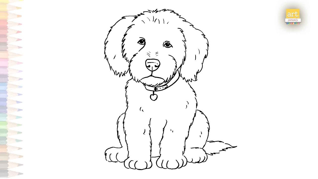 Labradoodle puppy drawing easy | Art tutorial | How to draw A ...