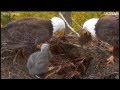 MNBOUND EAGLES  MAY 7, 2012  CLIPS OF RETURN OF MOM & DAD