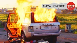Animal Kingdom | Behind-the-Scenes: Meet the Codys | TNT Serie