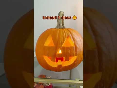Video: Kan halloween-gresskar spises?