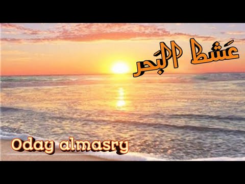      ع شط الب حر