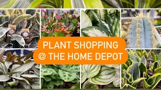 Plant shopping @ Home Depot by lifeofbellina 2,018 views 2 months ago 16 minutes