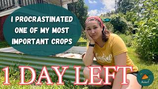 The self-sufficiency crop no-one talks about