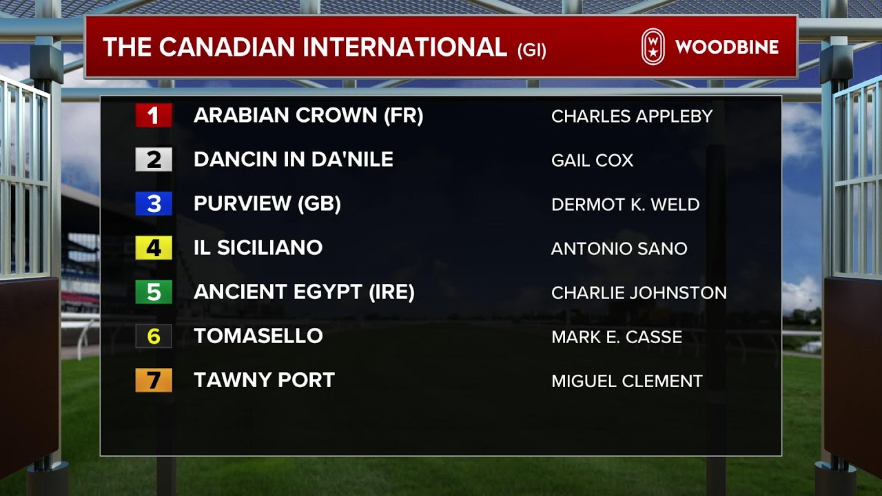 Woodbine Racetrack Live