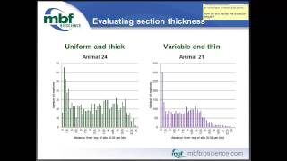 Disector Height & Guard Zones A Few Guidelines