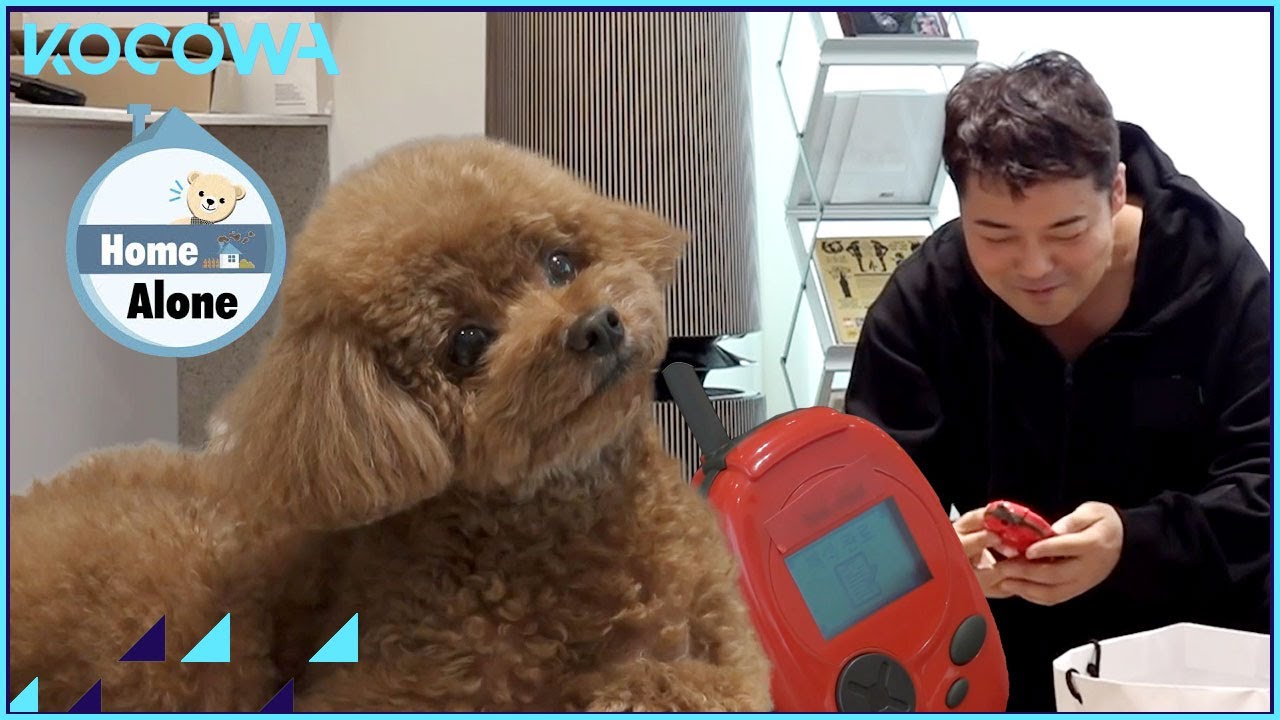 Can this machine tell what dogs think??? l Home Alone Ep 437 [ENG SUB]