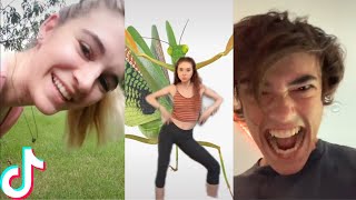 Tik Tok Memes With So Much Vine Energy I Dropped My Croissant | Daily Memes