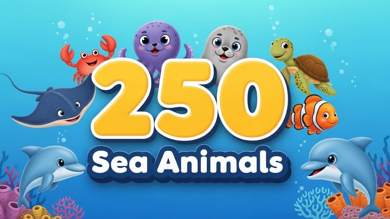 250 Sea Animal Sounds for Kids 🐳 | Whale, Orca, Seal | Learn Animals Fast