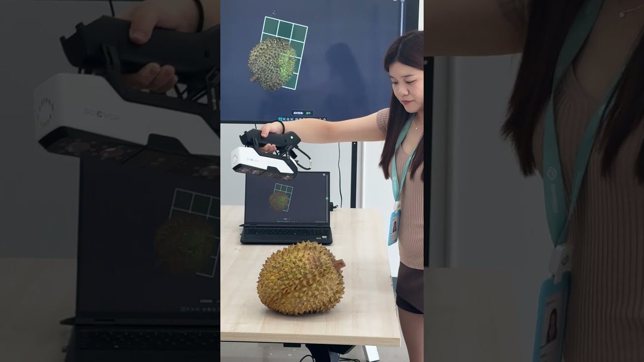  Cracking Open A Golden Durian The Flesh Goes To Our Fans