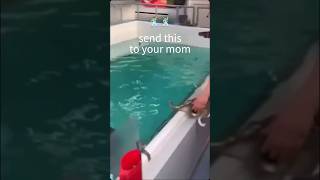 Your Mom Will Like It.