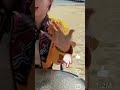 😱😱jadhu😱#foryou #funny #shortvideo #usa