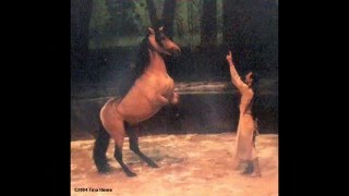 Cavalia