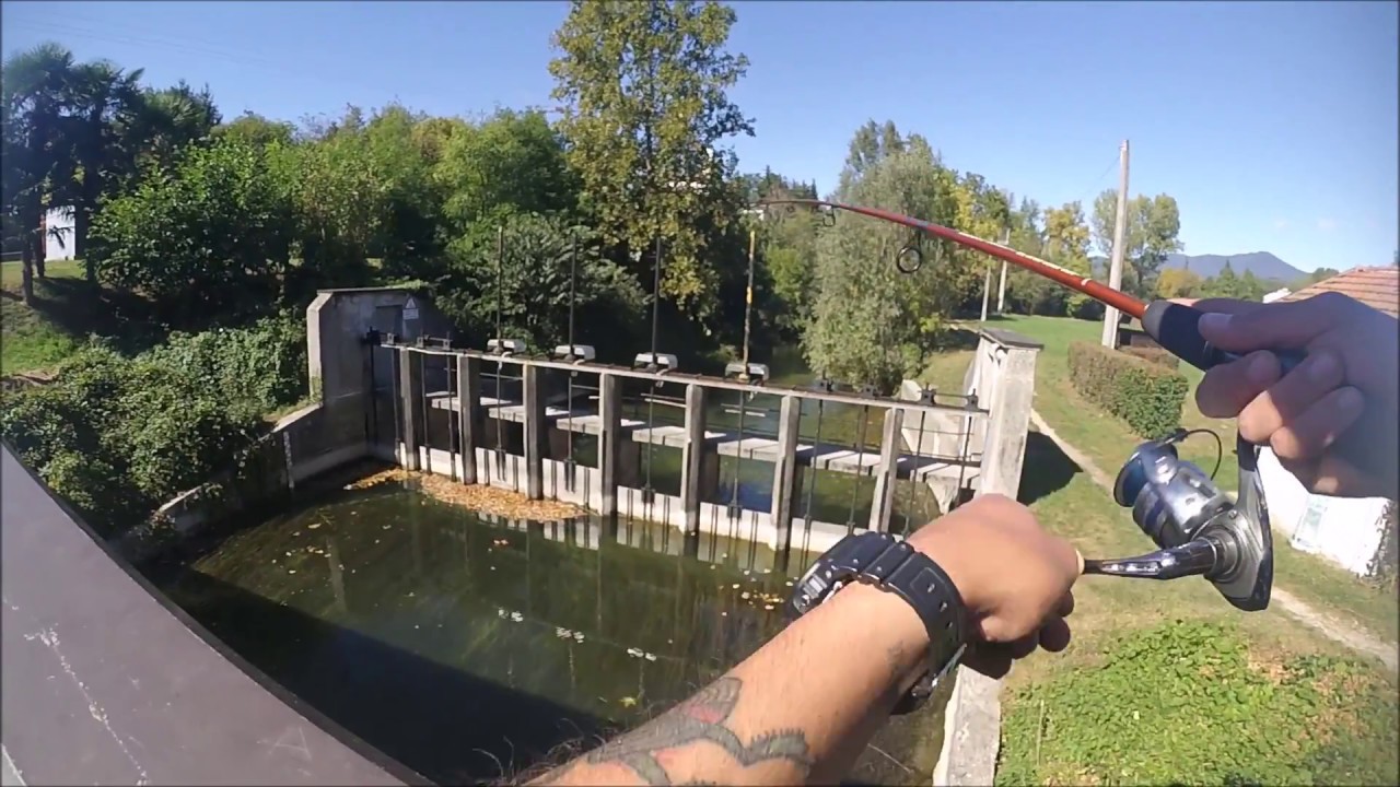 Pesca Al Black Bass Vicenza