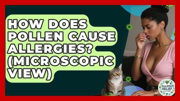 How Does Pollen Cause Allergies? (Microscopic View) - Allergy Relief Guide