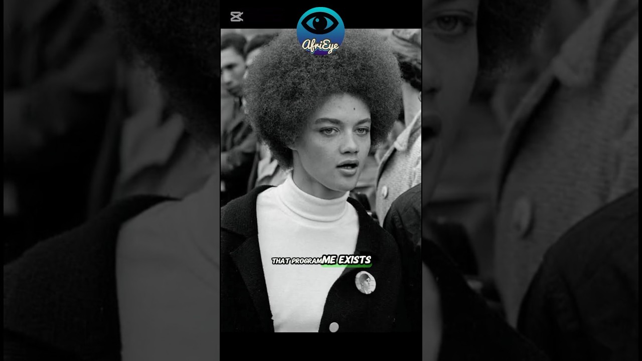 THE BLACK PANTHER PARTY— They Told You The Wrong Story #africanhistory #history #facts #blackpanther