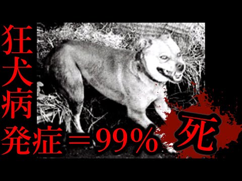 【狂犬病】今、国がヤバいことしようとしてます。