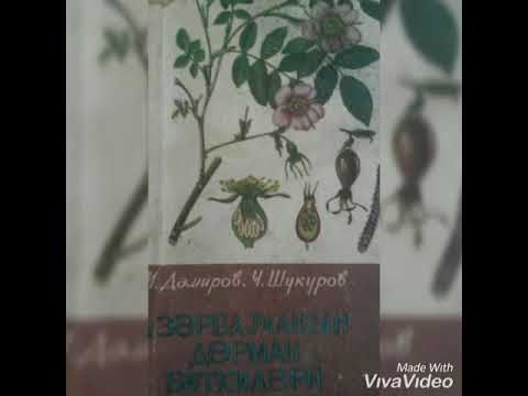 Video: Sülh zanbağının ev bitkilərinin köçürülməsi: Mənim sülh zanbağımın yeni qaba ehtiyacı varmı?
