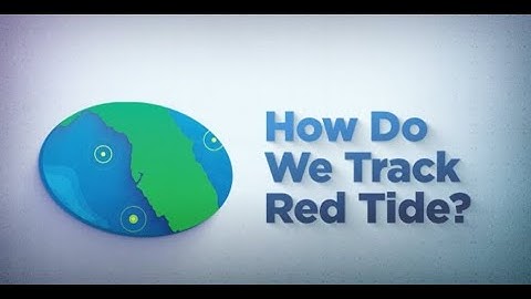 How Do We Track Red Tide?