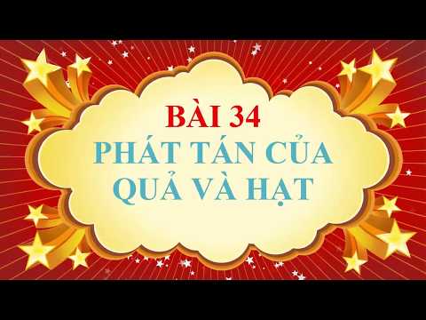 Video Sinh học lớp 6 - Bài 34 - Phát tán của quả và hạt - youtube