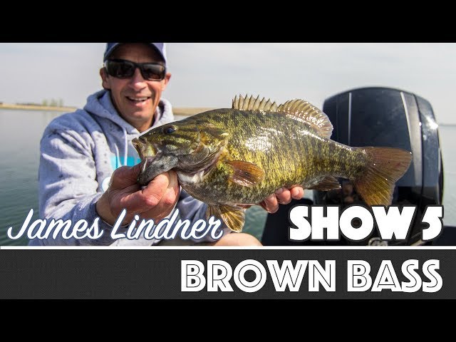 Walleye Trolling Logic – AnglingBuzz TV