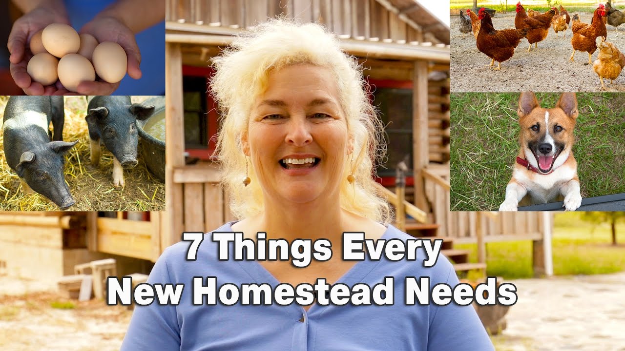 7 Things Every New Homestead Needs YouTube