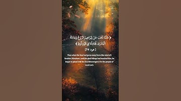 وَجَاءَتْهُ الْبُشْرَىٰ سورة هود 74 #الأجر_لي_ولك #quran#القرآن#islam