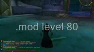 WoW GM Account Login Game Master Power NO PASSWORD REQUIRED
