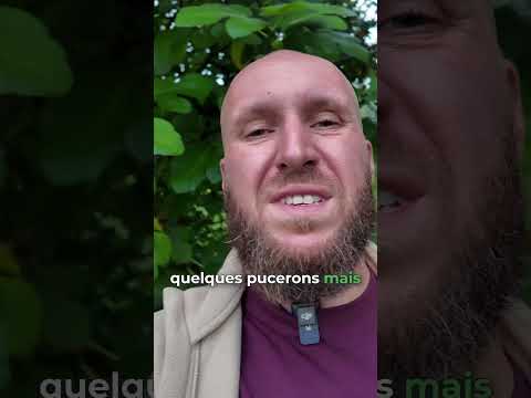 Miniature vidéo YouTube