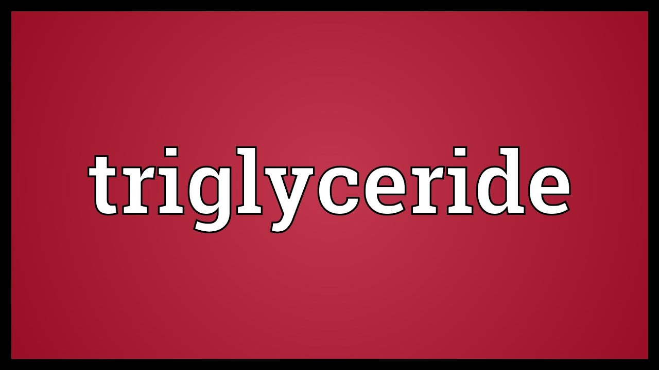 Triglyceride Meaning Youtube