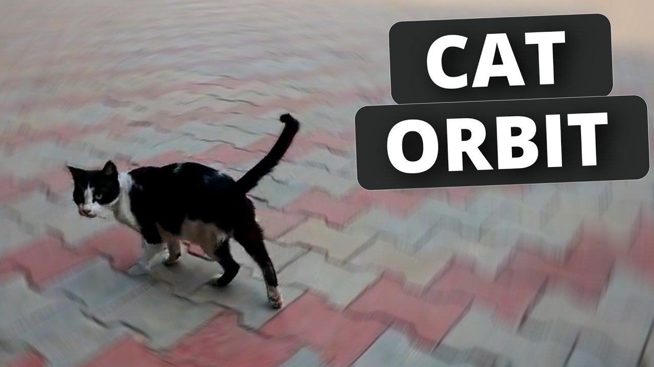 Pavo Pico FPV Freestyle с DJI O4 Lite Society Playground