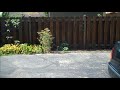 Beginning of video