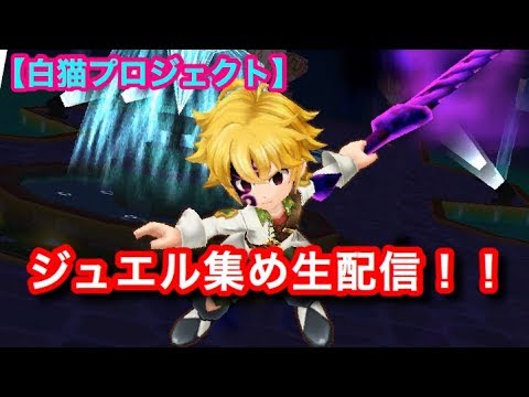 白猫プロジェクト ジュエル集め生配信 Youtube