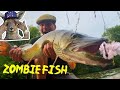 Kevin Wants Me—Fish Fear Me | Catching Every Species of Fish in 1 Day (World Record)