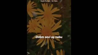 Kısa Kürtçe Whatsapp Durum Videosu