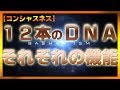 １２本のＤＮＡ　それぞれの機能【バシャール2017】【最新】