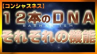 １２本のＤＮＡ　それぞれの機能【バシャール2017】【最新】