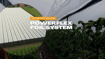 The Powerflex Foil System (Anti-Rain System) above cherries- FRUITSECURITY HOLLAND