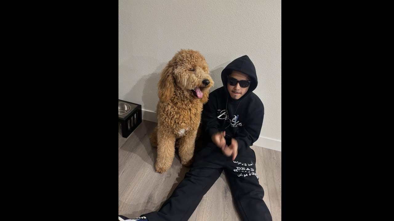 (FREE) GmoneyDt x PlayerrWays Type Beat "LA Nights"