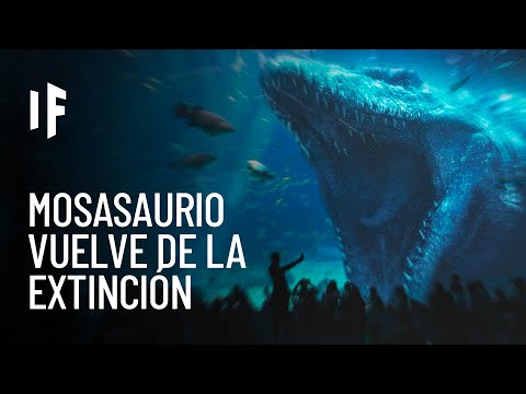 Video: ¿Podrían existir todavía los mosasaurios?