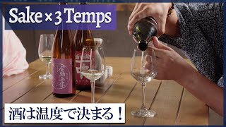 How Temperature Changes the Flavor of Sake | Japanese Izakaya Guide Hot Sake Exploring Different Temperature Zones