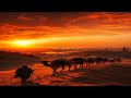 في صمت الليل Official Lyric Video 