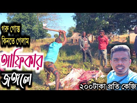 ভিডিও: আলেক্সি লিওনভ সমস্ত পৃথিবীবাসীর সাক্ষাৎকার নিয়েছিলেন এবং একটি বেলচা দিয়ে সৌরজগতের সমস্ত গ্রহ খুঁড়েছিলেন এবং বুঝতে পেরেছিলেন যে খ্রিস্ট একজন এলিয়েন।