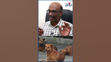 ரேபிஸ் உள்ள நாய் ஏழு நாள்ல இறந்திடும் - Dr.Suresh Kumar #dogbite #Rabies
