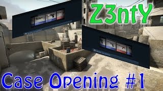 Cs-Go Case Opening - Spectrum Gamma