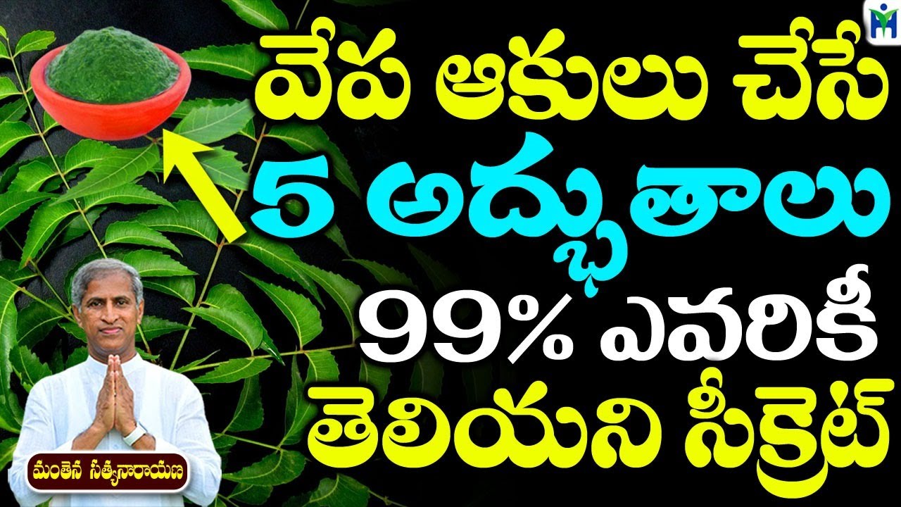 వేప ఆకులు చేసే 5 అద్భుతాలు 99 % ఎవరికీ తెలియని సీక్రెట్|Manthena Satyanarayana Raju| Health Mantra|