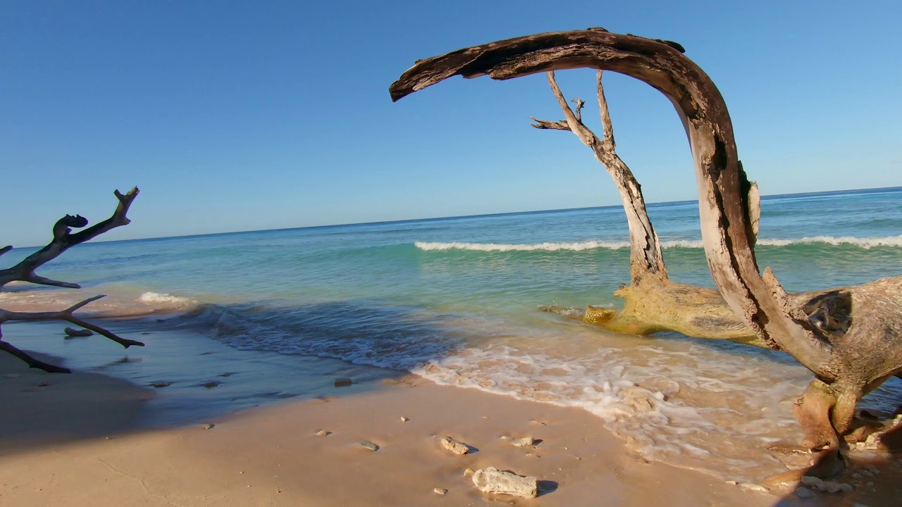 Barbados Speightstown & Heywoods Beach YouTube